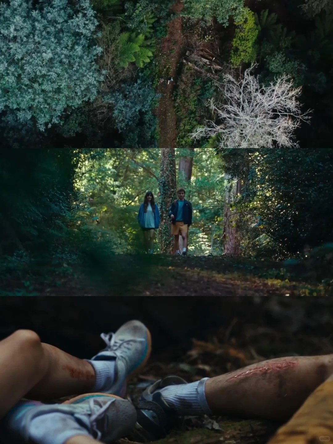 身体恐惧😱2025年度高分惊悚片❗️❗️