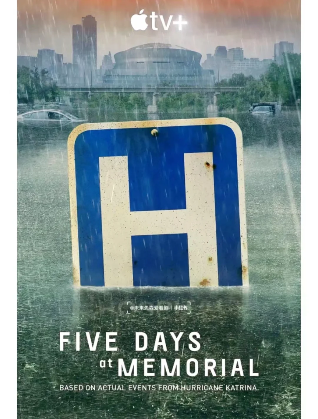 高分9.2‼️一口气炫8集【年度灾难大剧】🆘