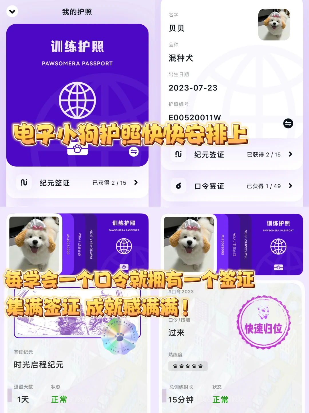 汪星人请进❗️在家就可以训练狗狗的宝藏app