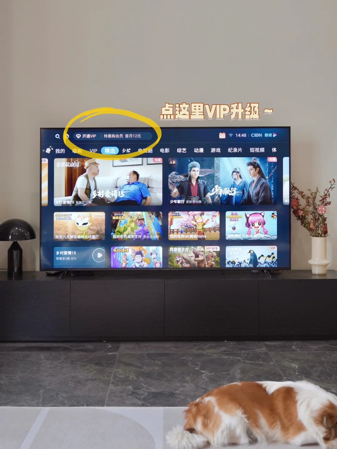 🏠过年宅家看剧，幸福感还得是酷喵大屏！