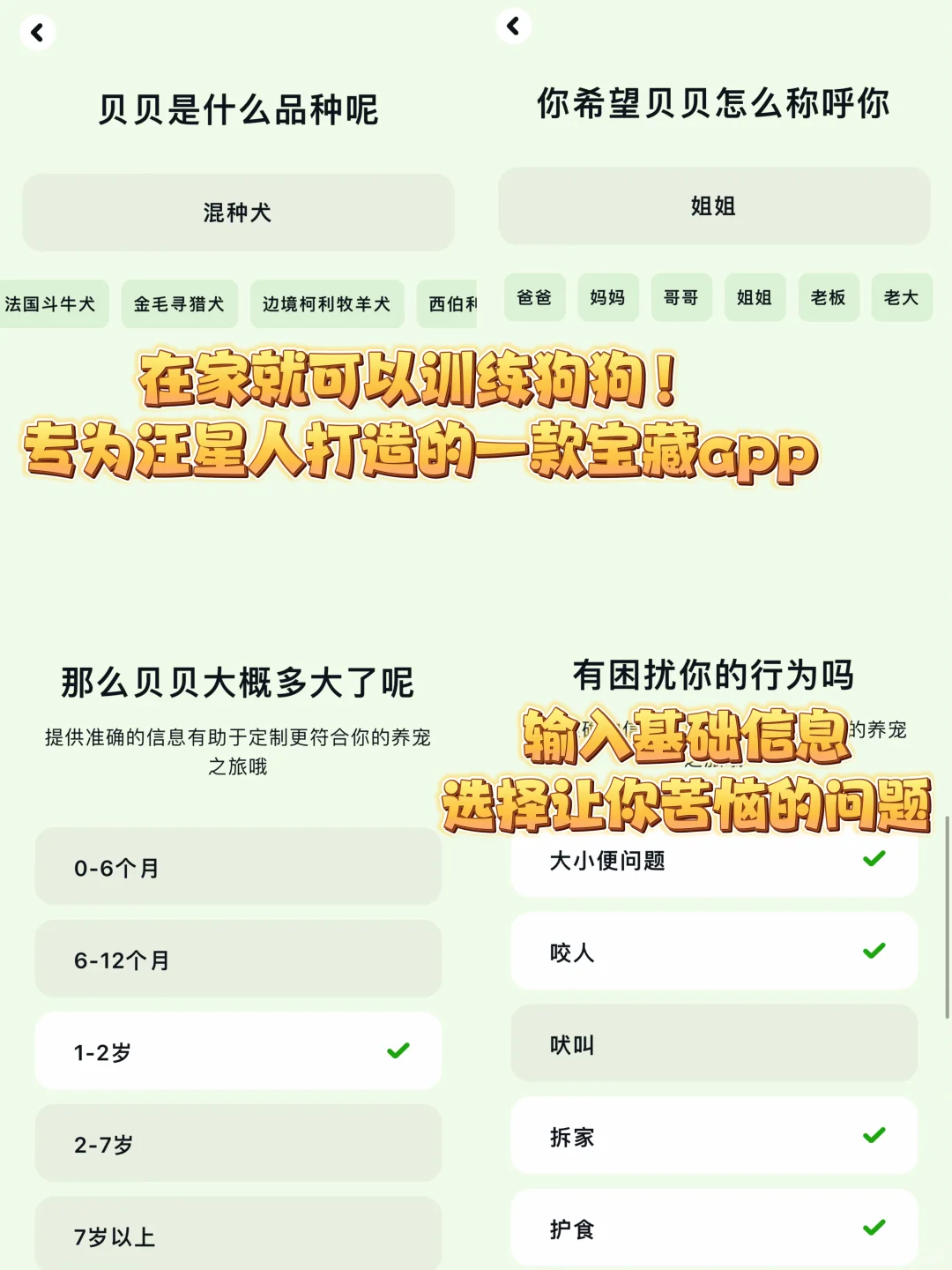 汪星人请进❗️在家就可以训练狗狗的宝藏app