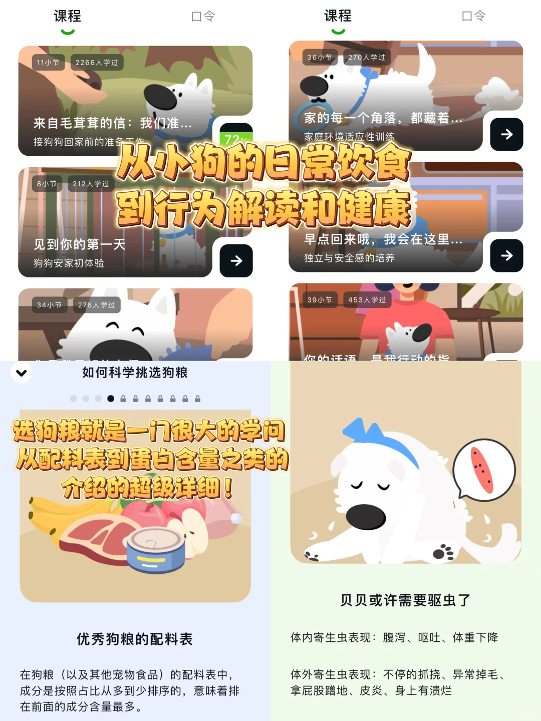汪星人请进❗️在家就可以训练狗狗的宝藏app