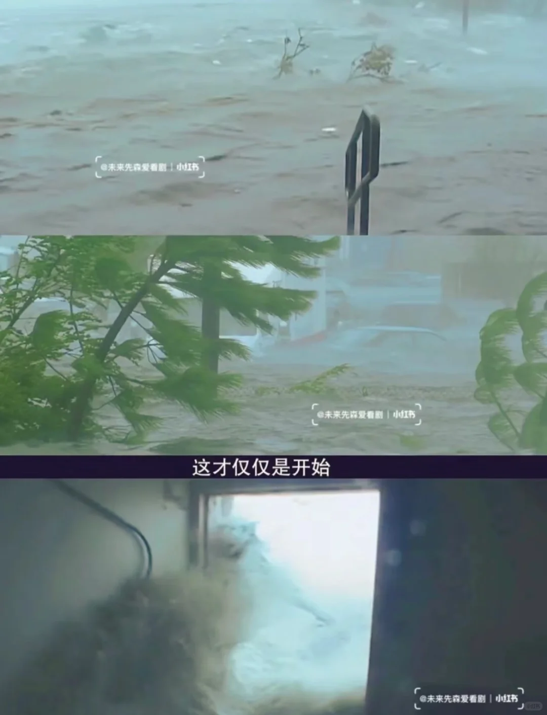 高分9.2‼️一口气炫8集【年度灾难大剧】🆘