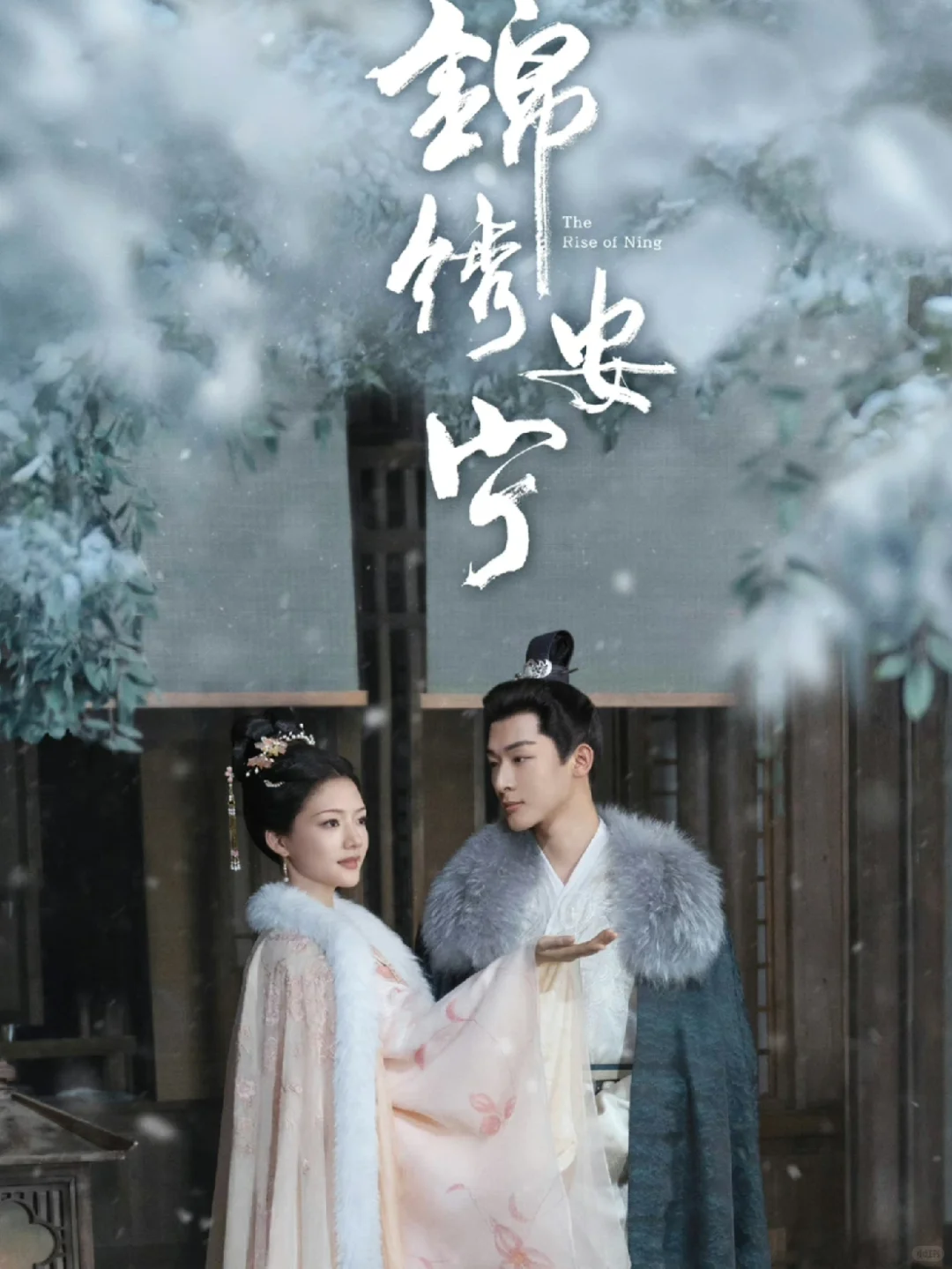 鲨疯了‼️四大平台👉暑期强档➡️8月剧集更新