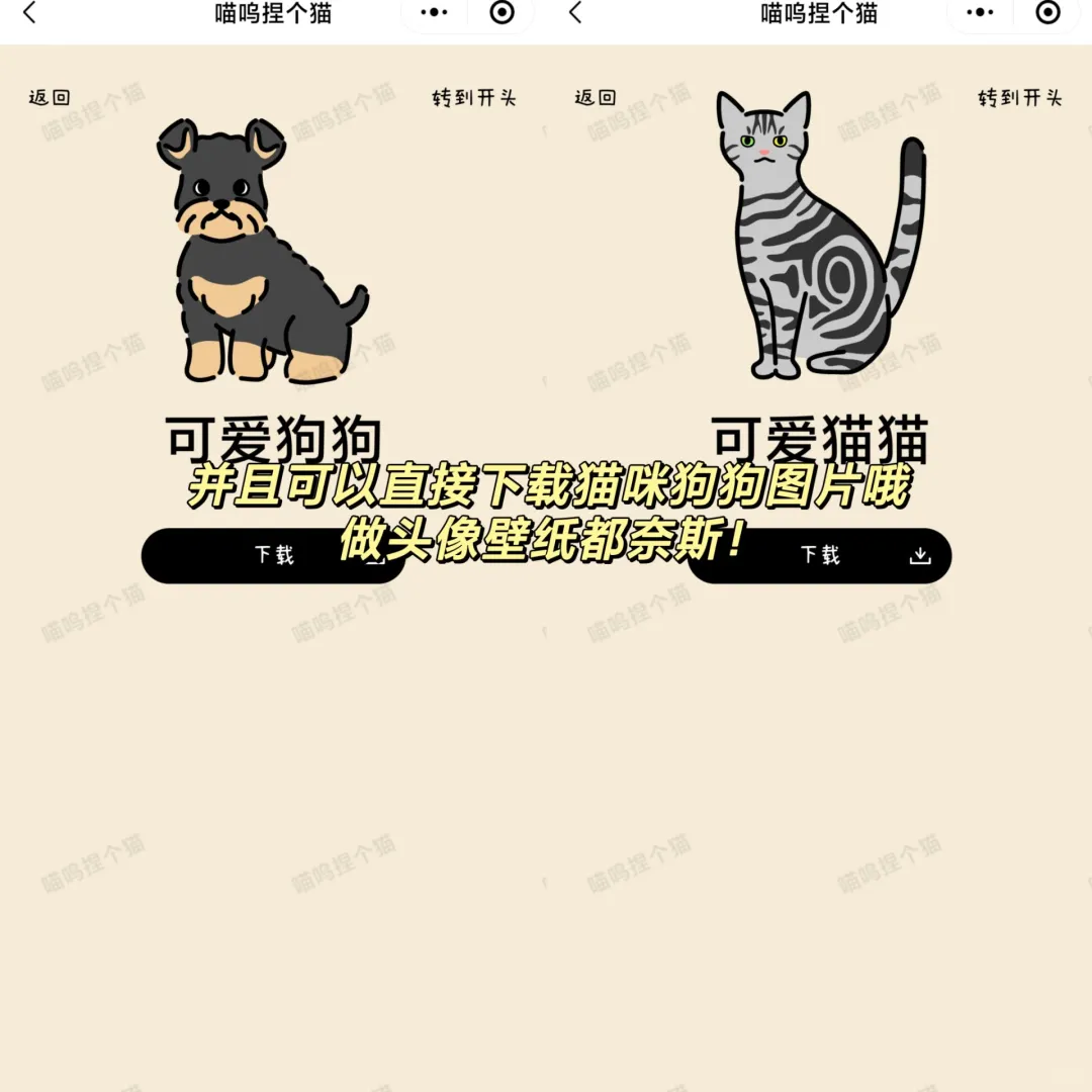 少女心炸裂❗这个巨可爱的捏猫游戏太上头了