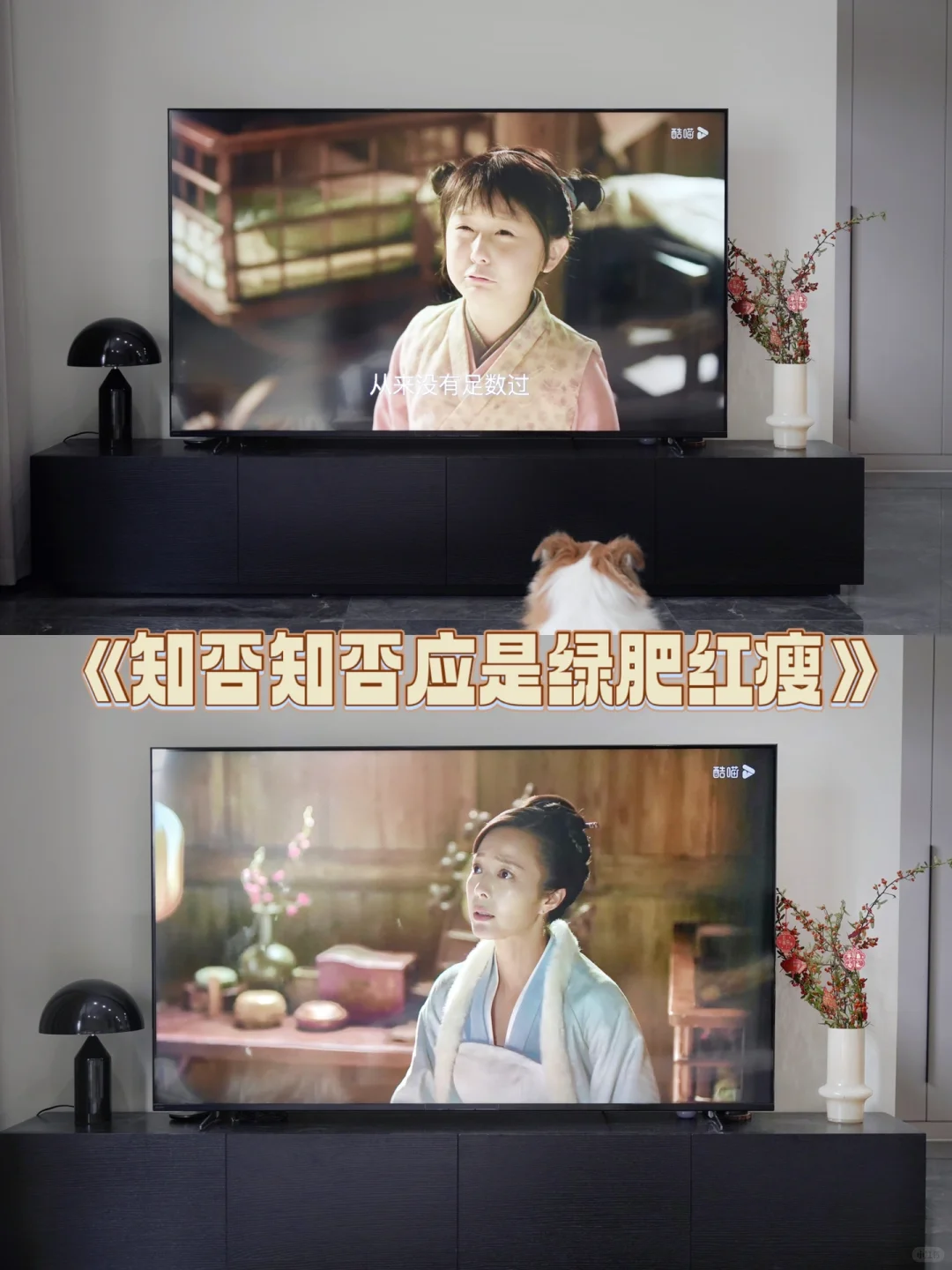 🏠过年宅家看剧，幸福感还得是酷喵大屏！