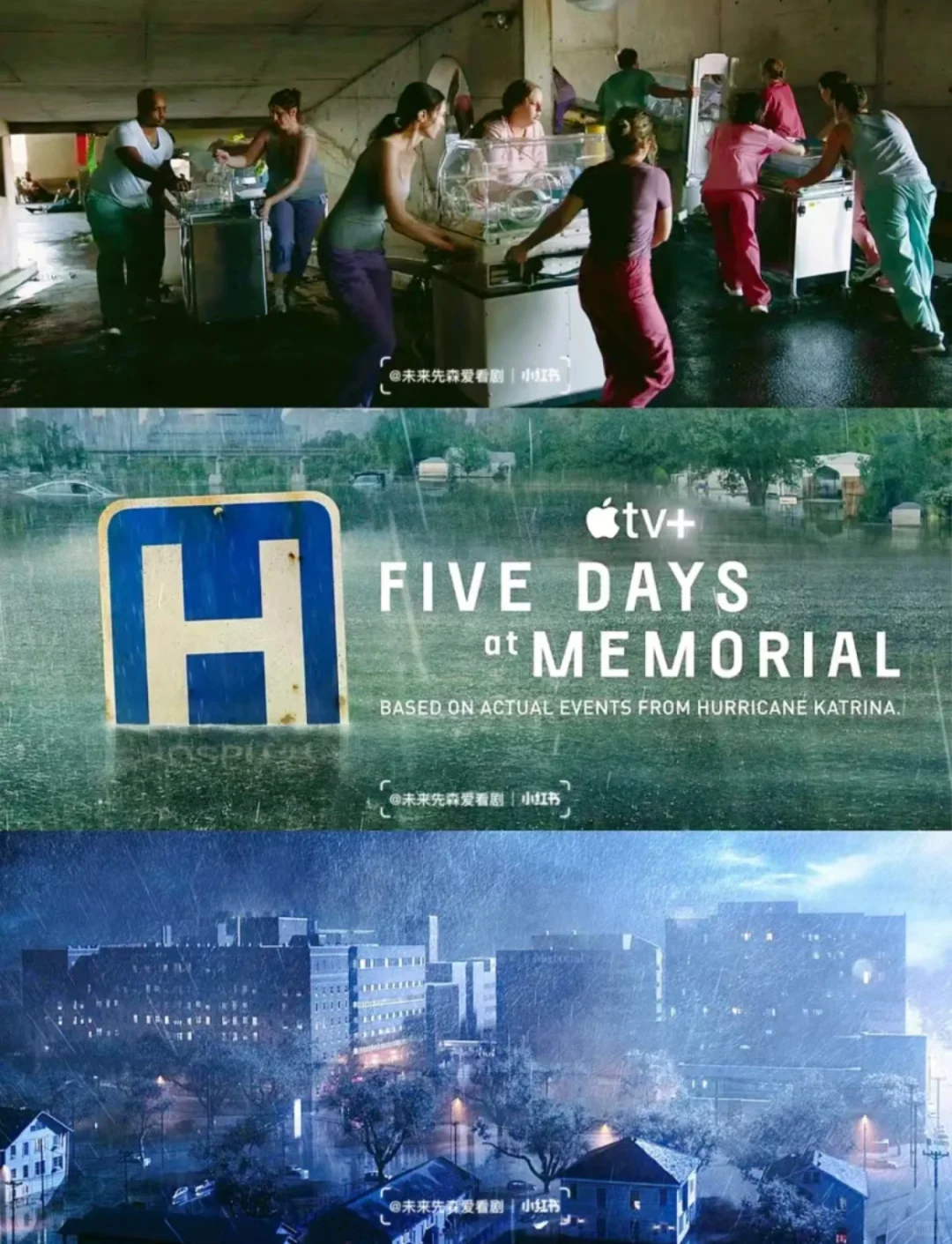 高分9.2‼️一口气炫8集【年度灾难大剧】🆘