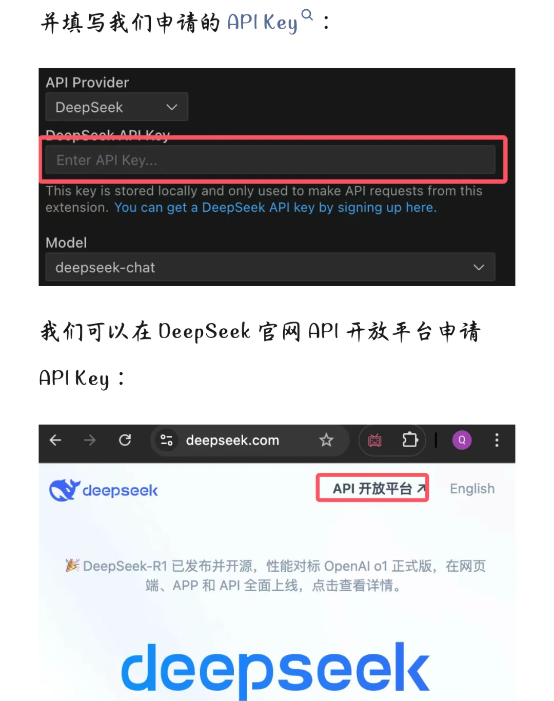 DeepSeek|装进 VSCode 也是香的不行