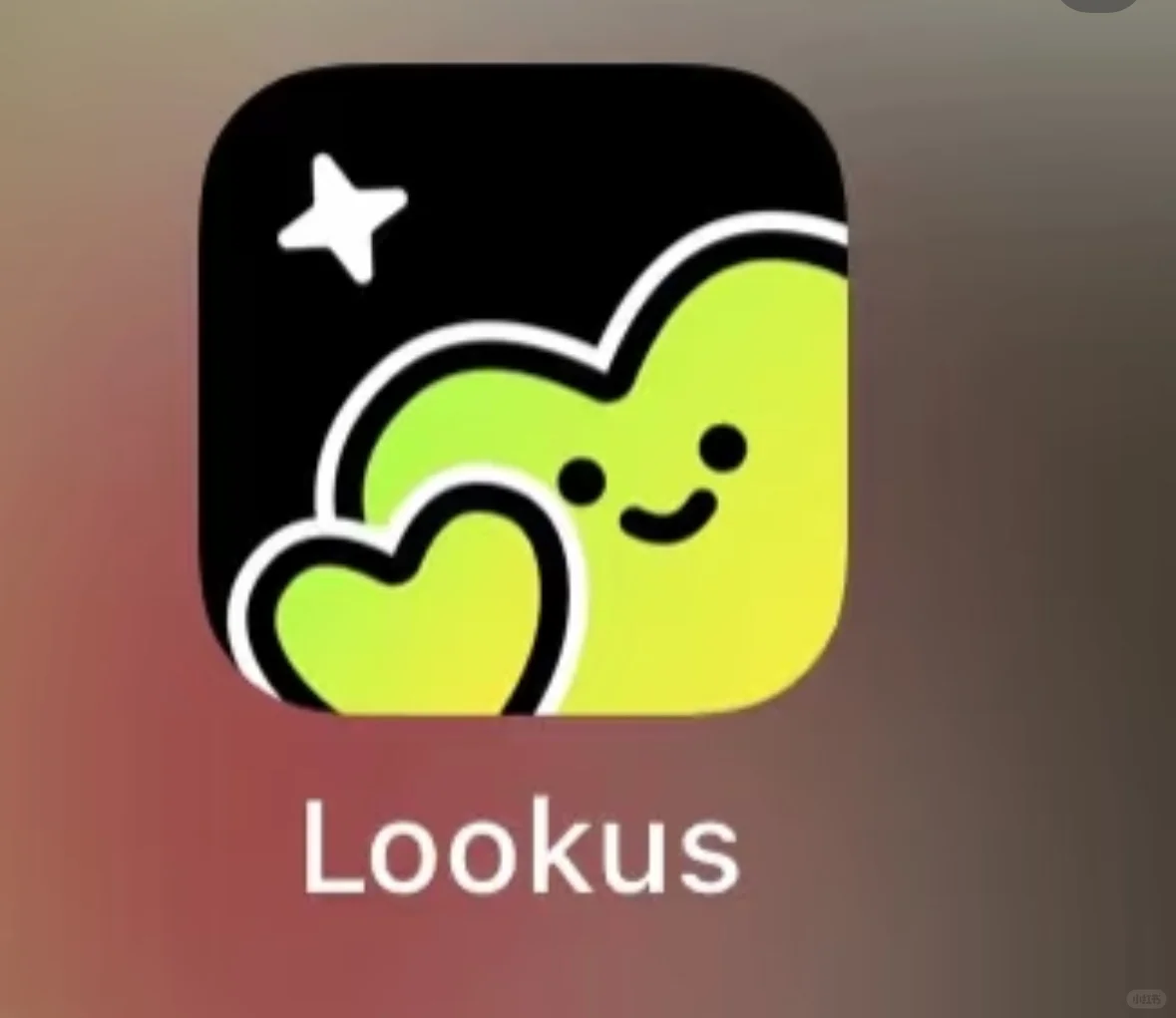 Lookus软件