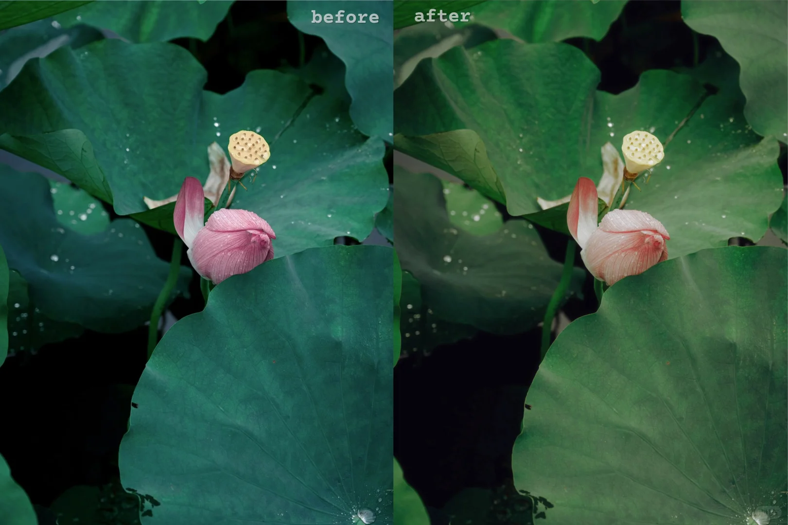 使用报告｜新调色app Colorby惊艳体验