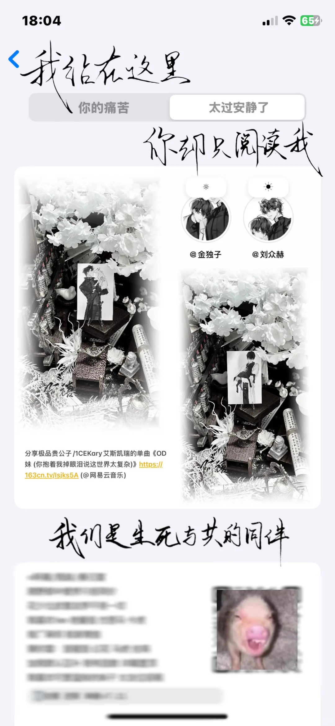 她属性图怎么那么好看！˃̣̣̥᷄⌓˂̣̣̥᷅