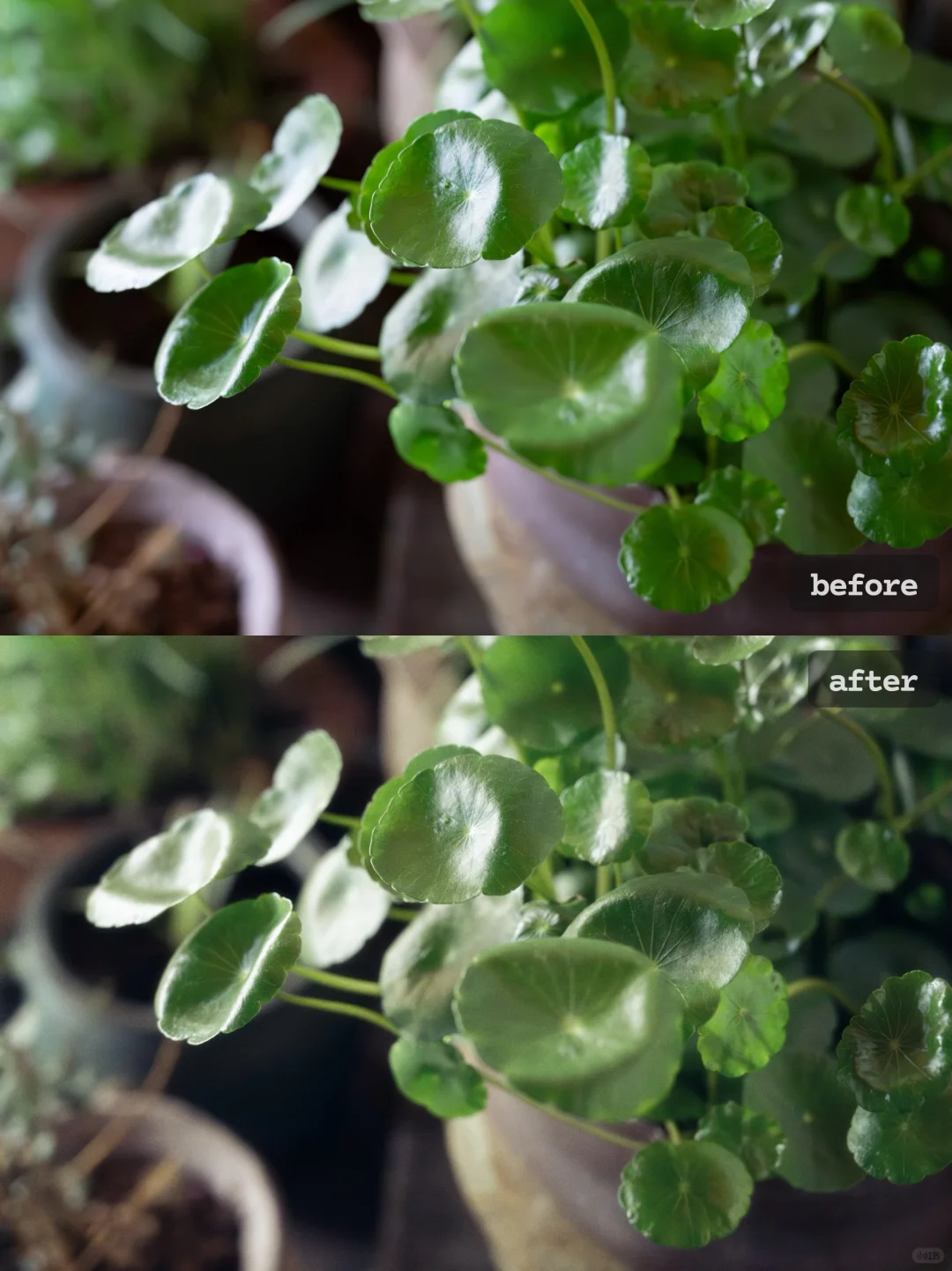 使用报告｜新调色app Colorby惊艳体验