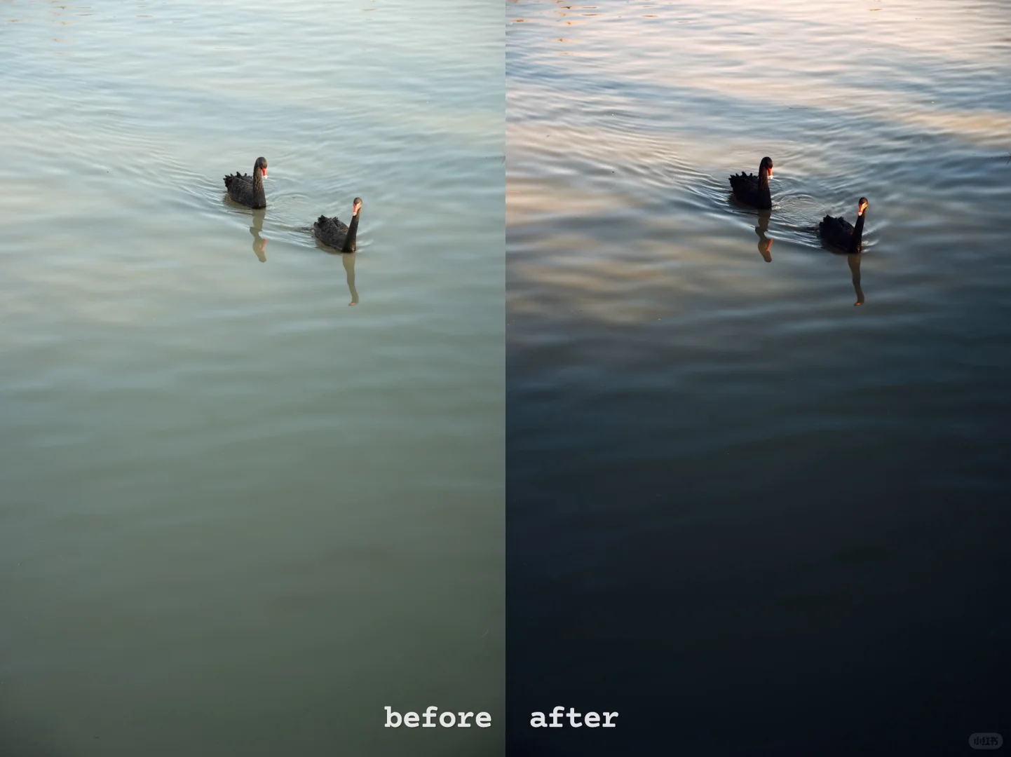 使用报告｜新调色app Colorby惊艳体验