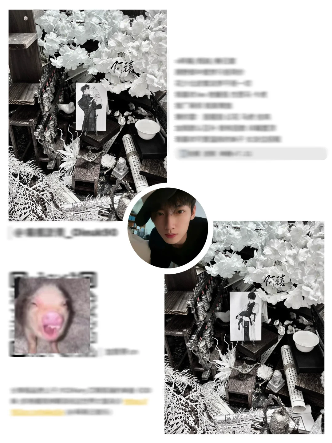 她属性图怎么那么好看！˃̣̣̥᷄⌓˂̣̣̥᷅