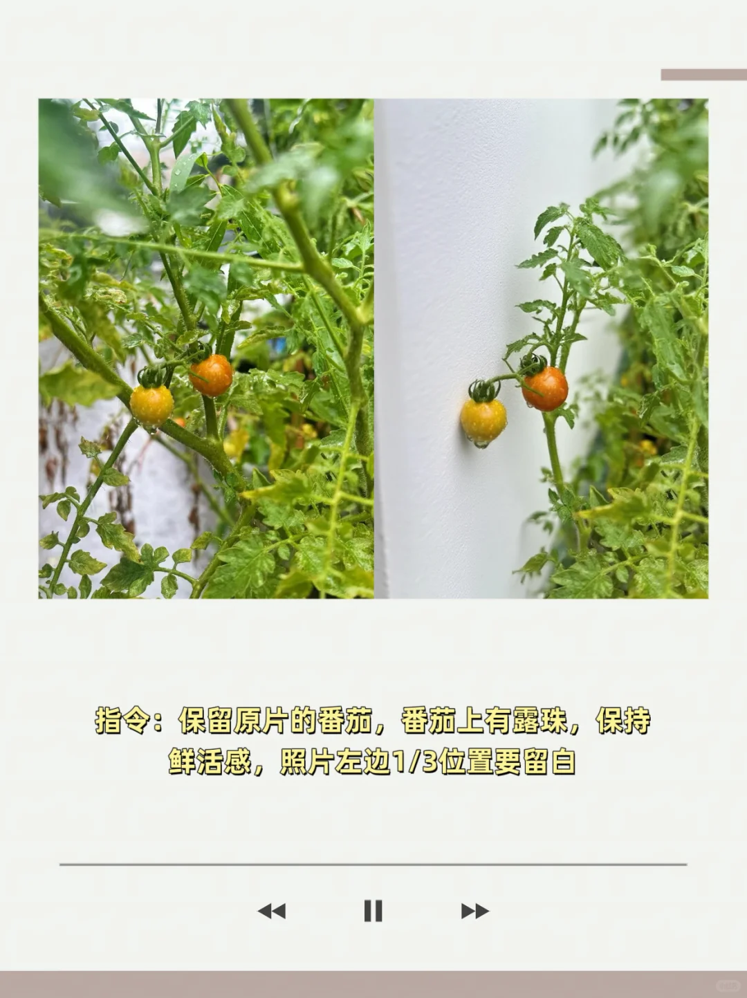 🔥当我学会用AI做plog后，我真的震惊了‼️