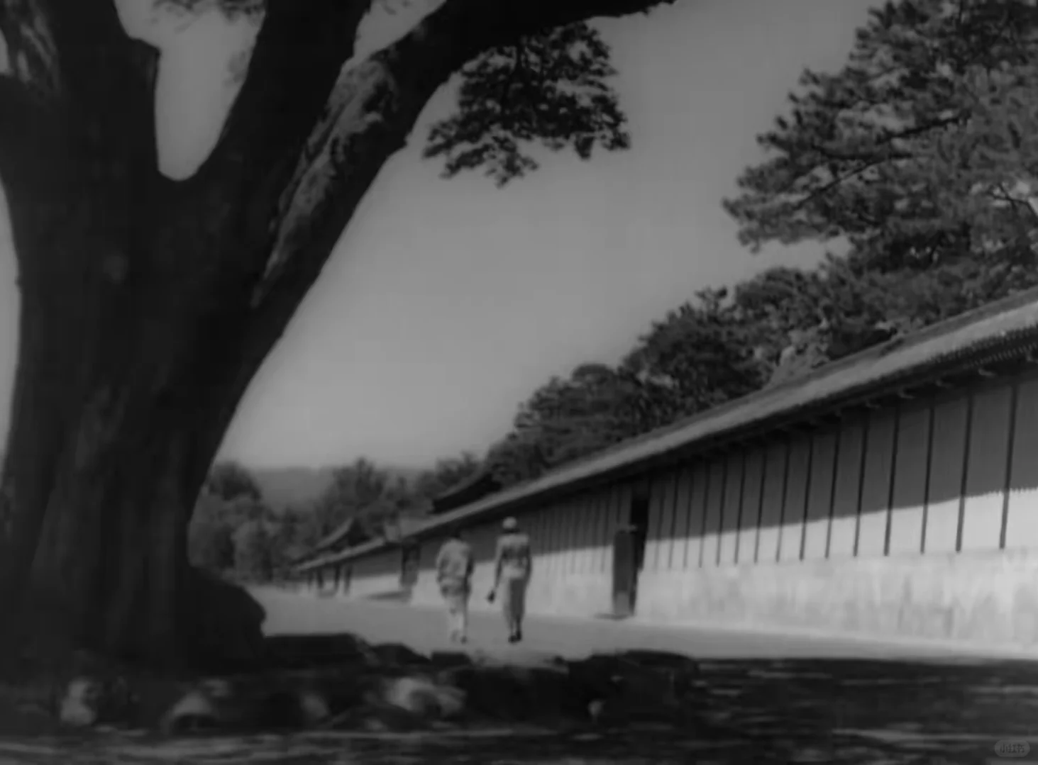 电影实验的难度