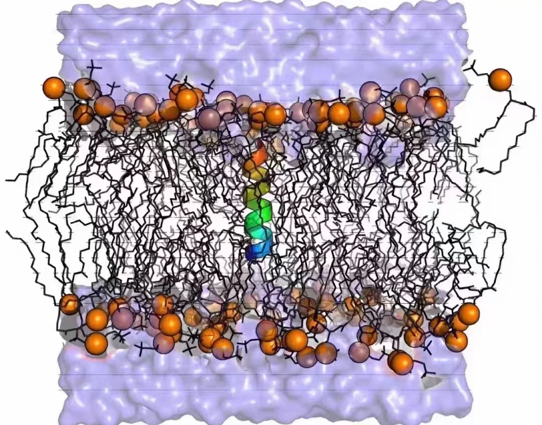 初学者使用分子动力学模拟软件时需要注意什