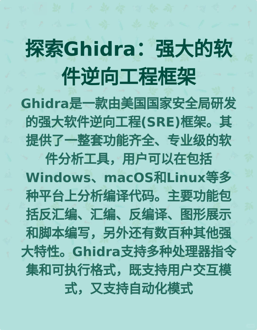 探索Ghidra：强大的软件逆向工程框