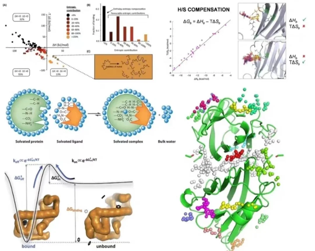 初学者使用分子动力学模拟软件时需要注意什