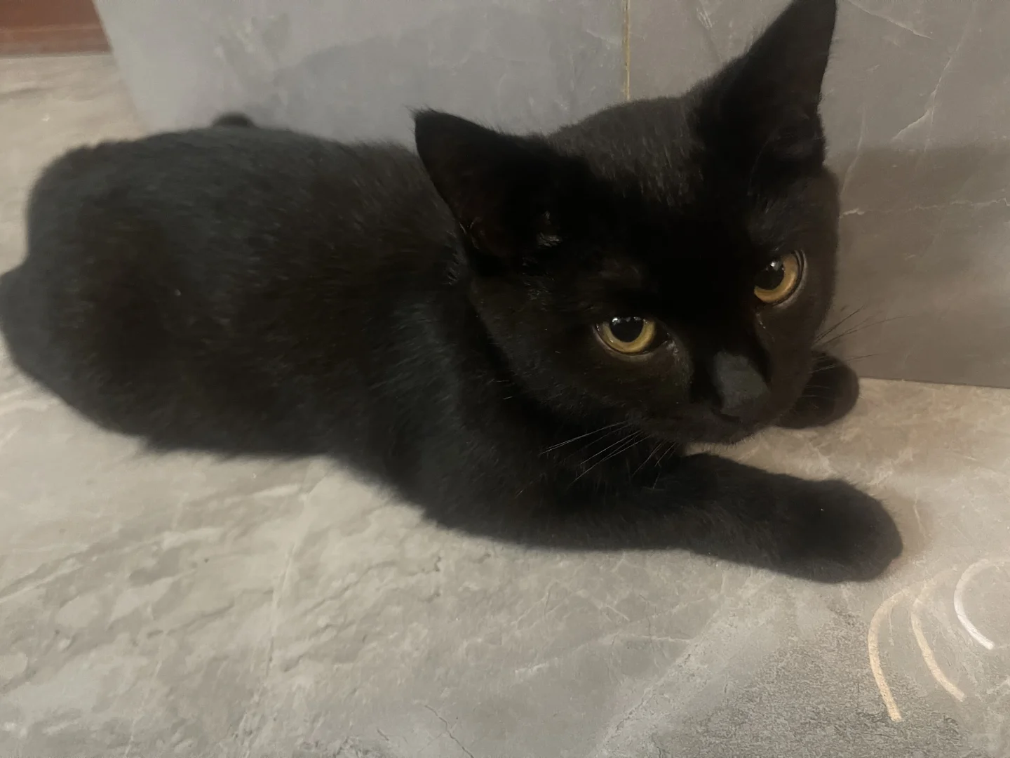 有开发App的麻烦联系我！