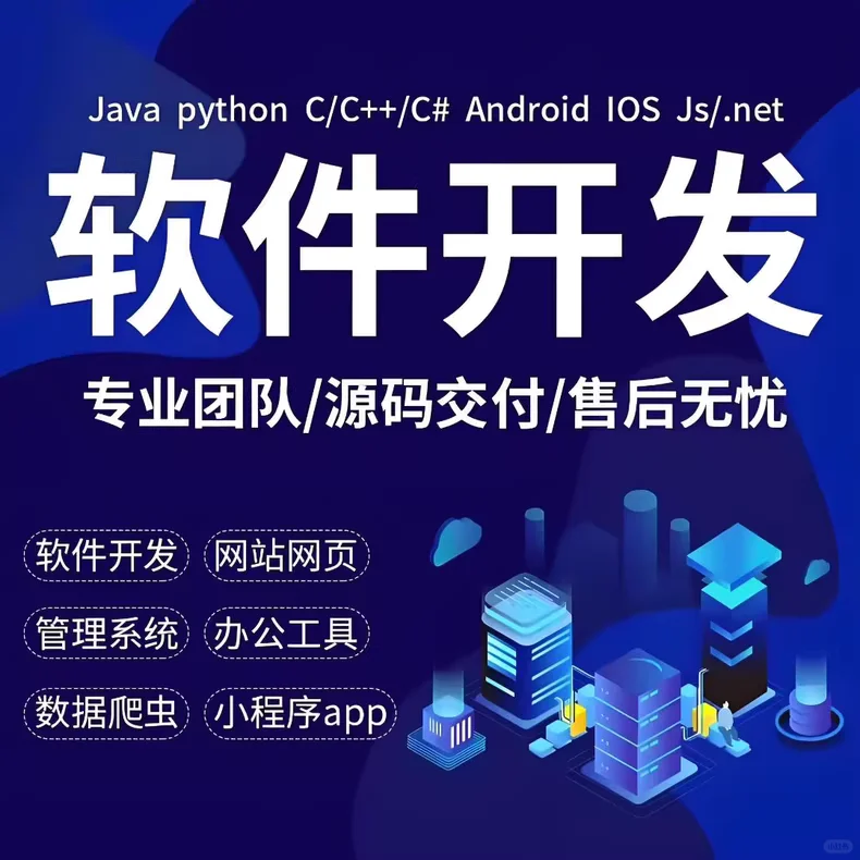专业软件开发