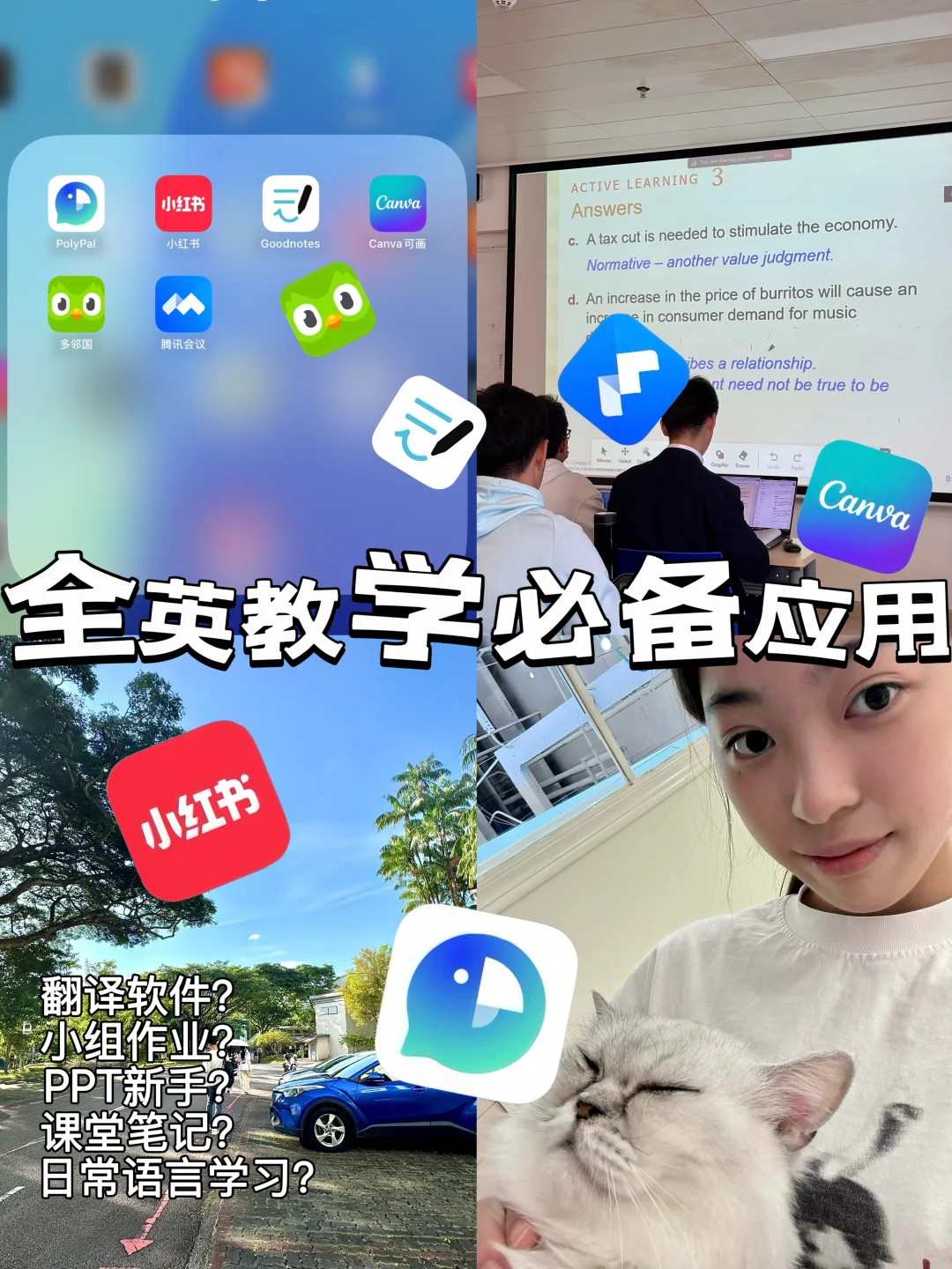 中外合办/:🔧新生听课应用软件分享 ₍ᐢ..ᐢ₎ᐝ