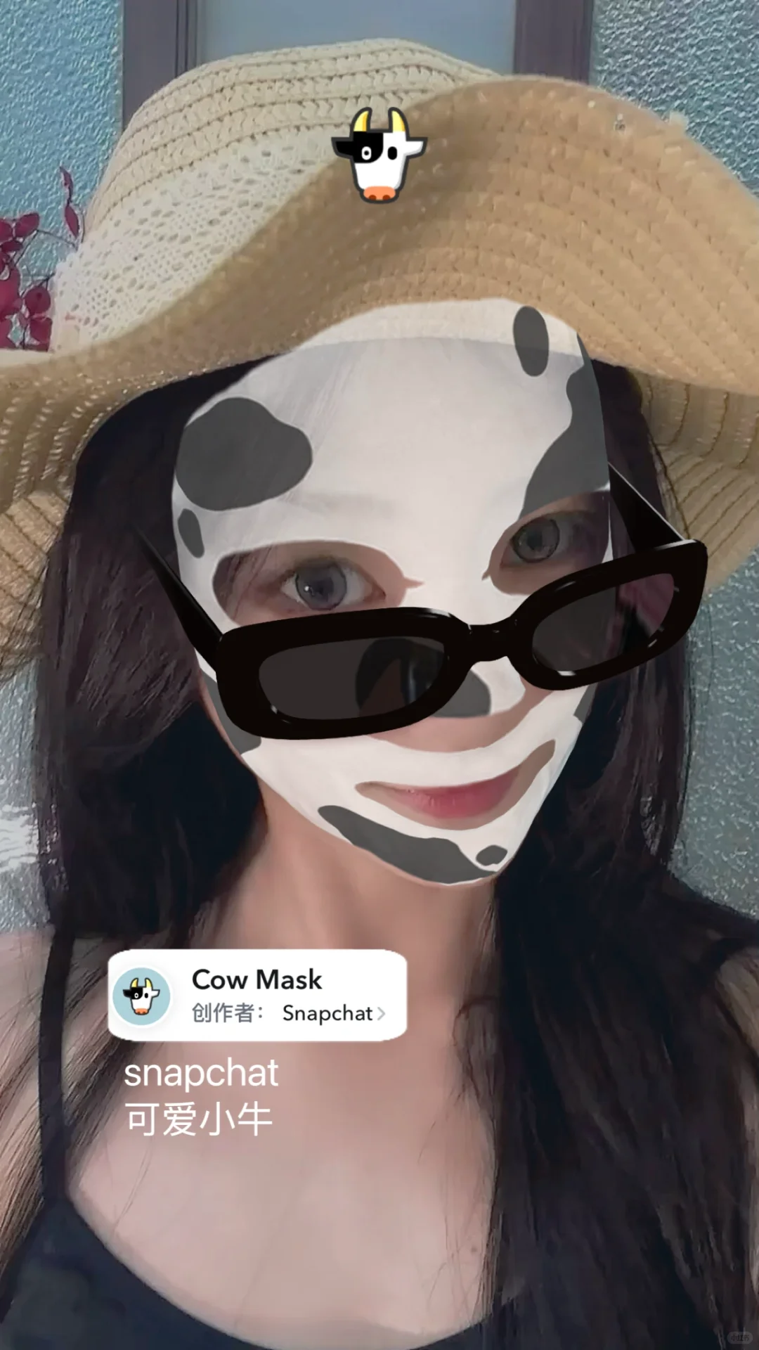 snapchat软件｜ins风特效分享