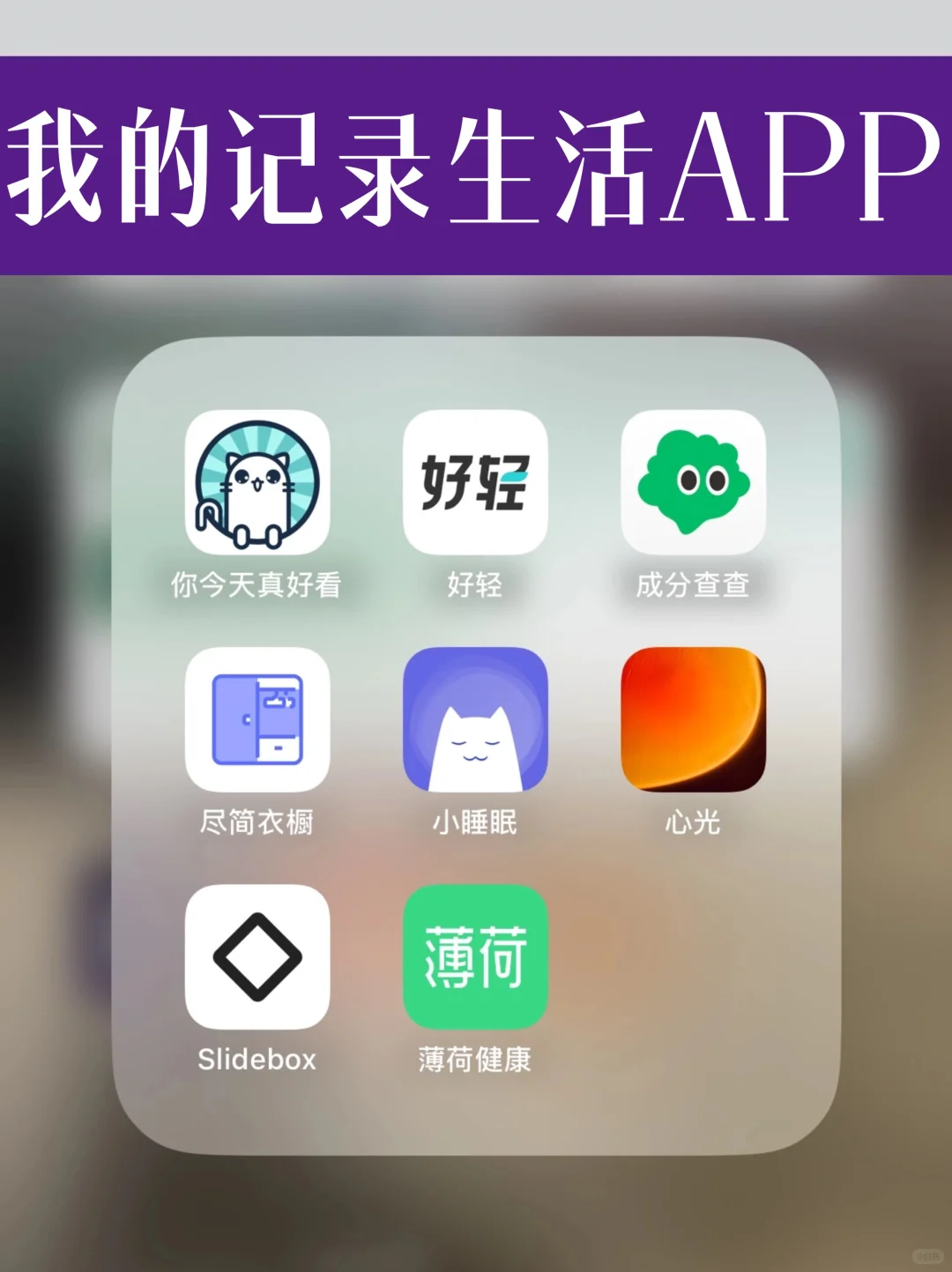 📱盘点2025年最爱用的生活APP