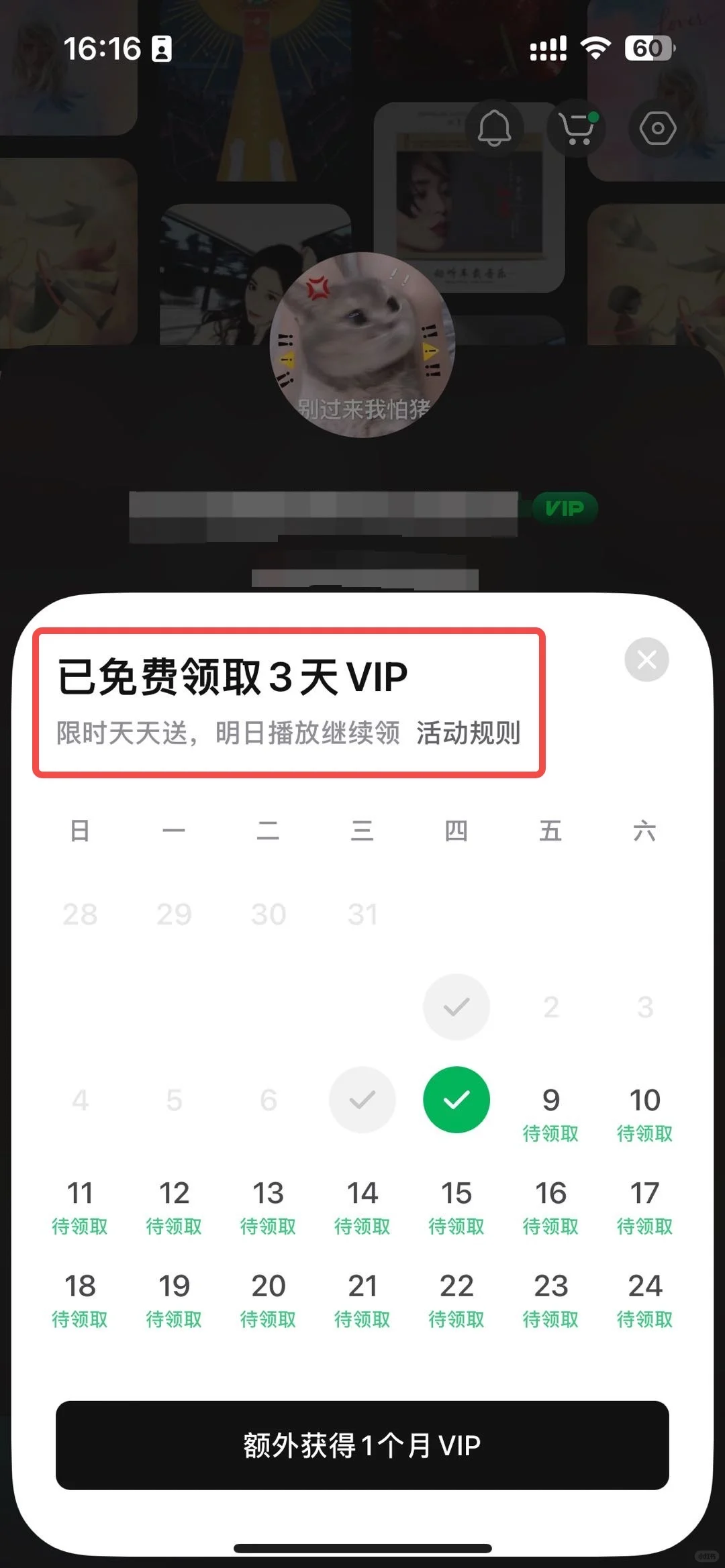 救命！汽水音乐怎么现在才让我发现