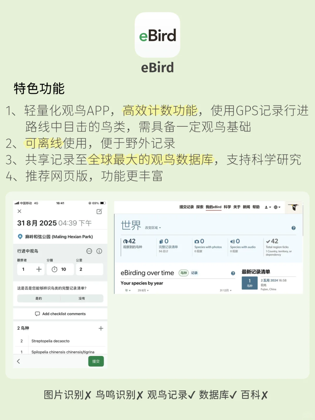 观鸟app推荐！观鸟入门必备，识别&记录