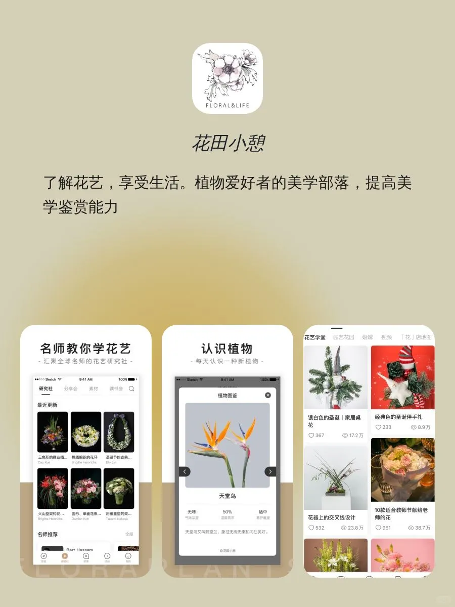 仙女最爱实用APP｜实用app合集
