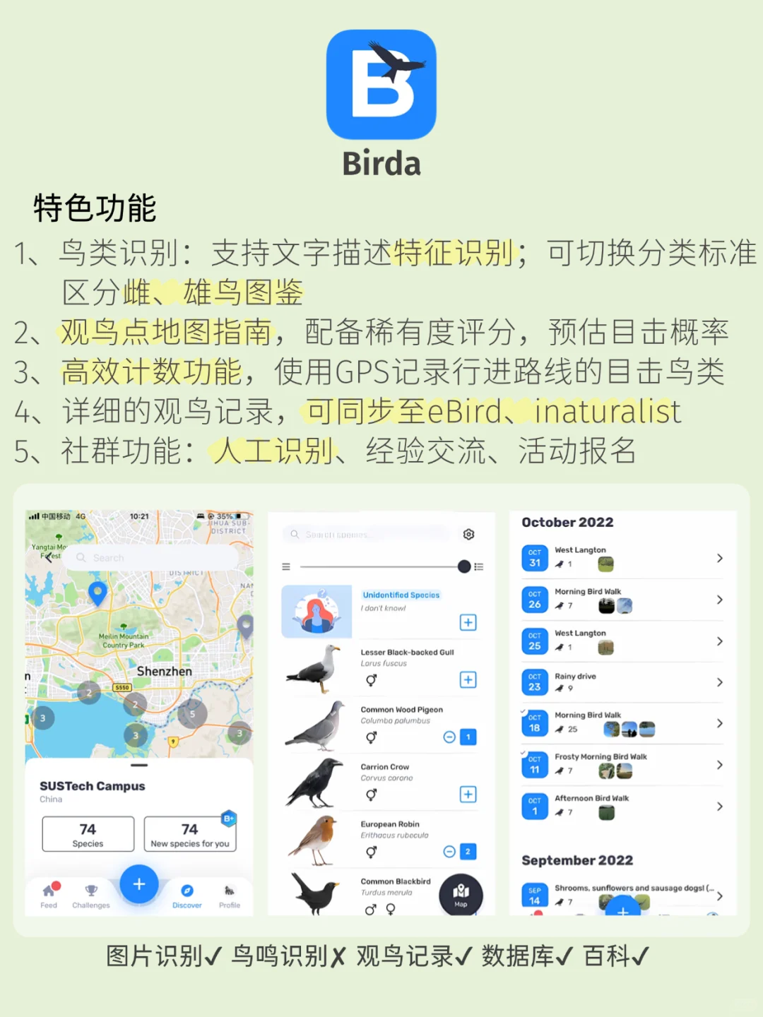观鸟app推荐！观鸟入门必备，识别&记录