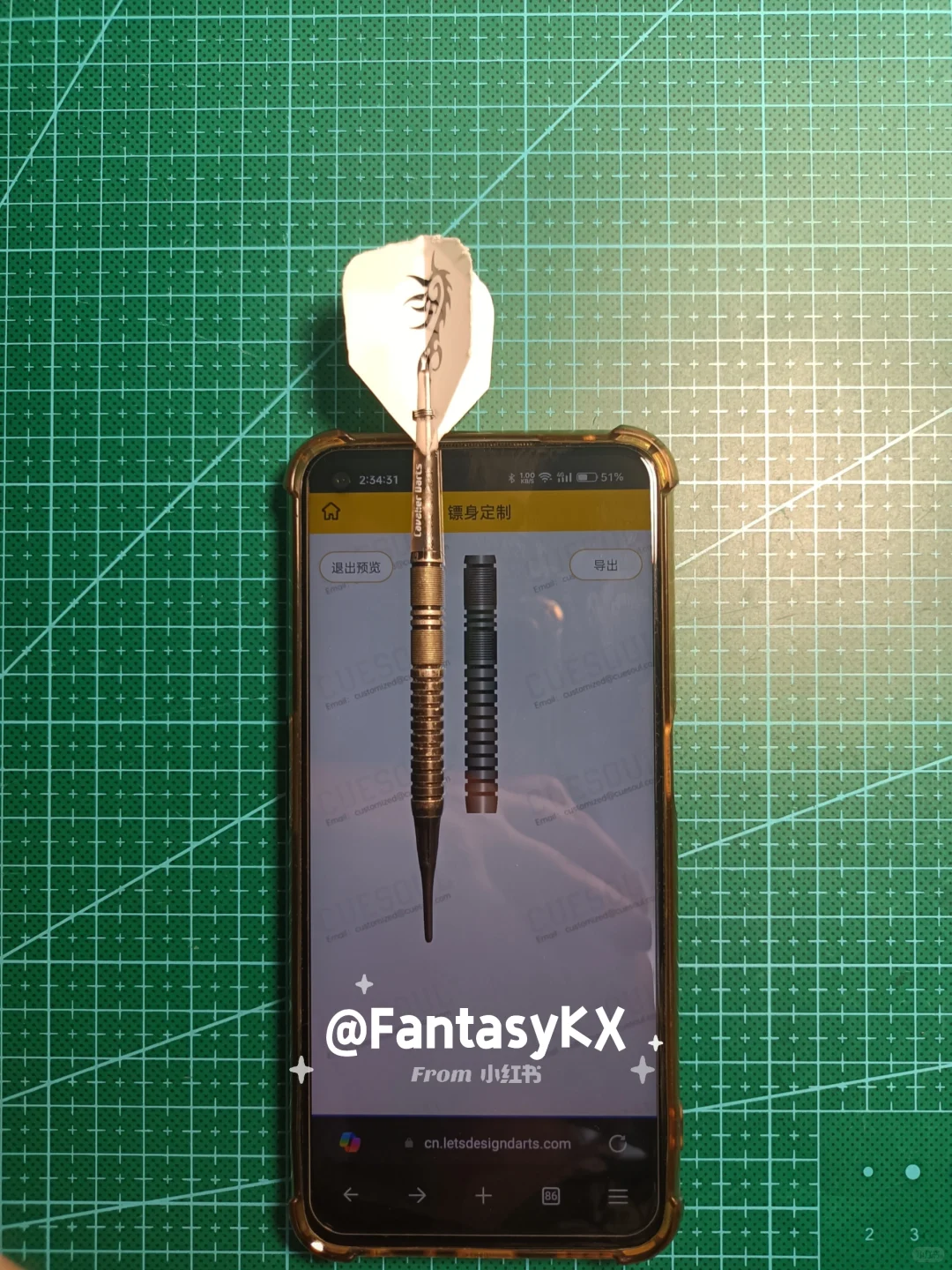 飞镖DIY：Q兽定制软件