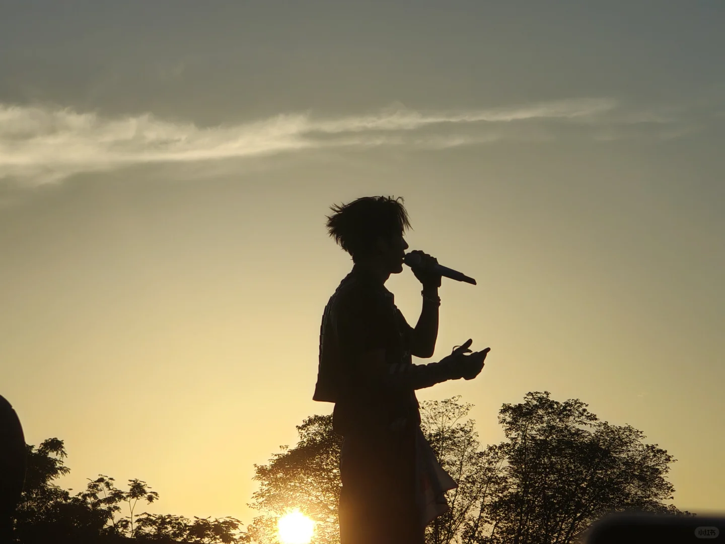 许愿亲签@汽水音乐APP｜鹭卓