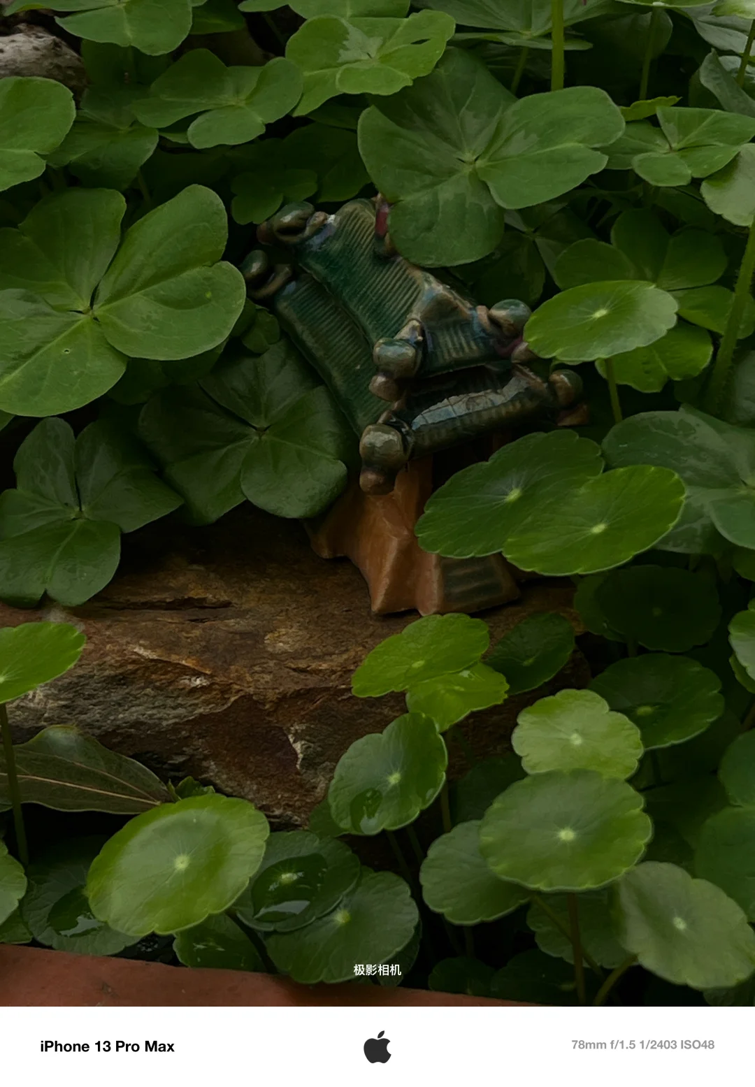 这个app也太牛🐮了吧