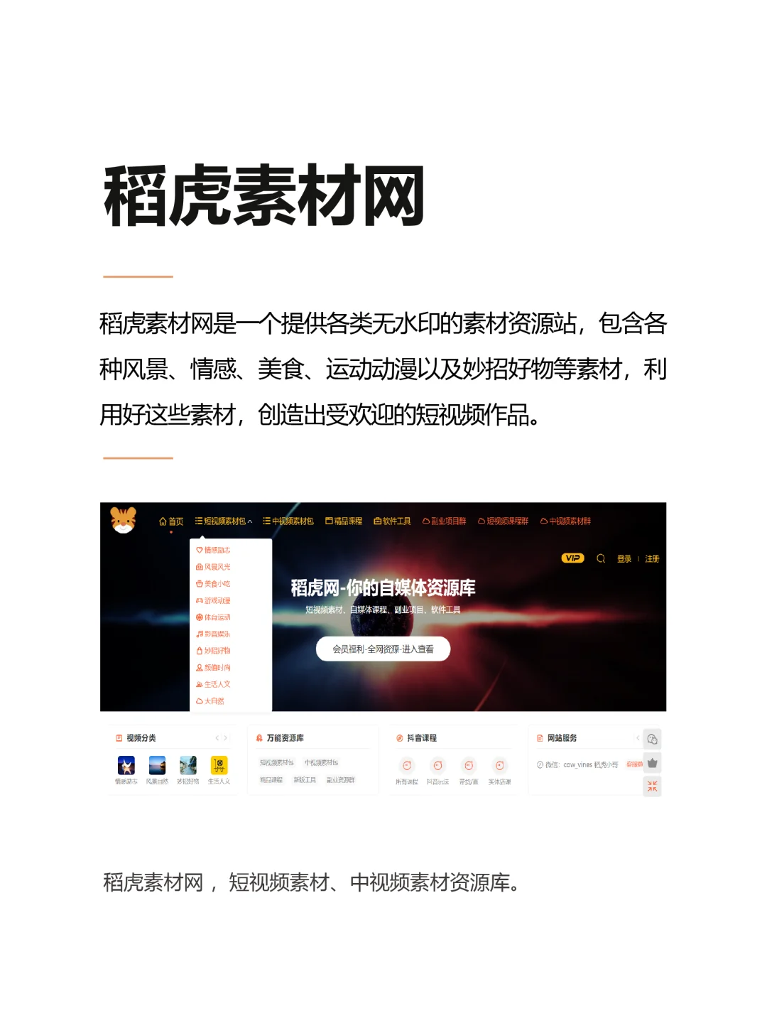 多种多样的短视频素材网站推荐，千万别错过