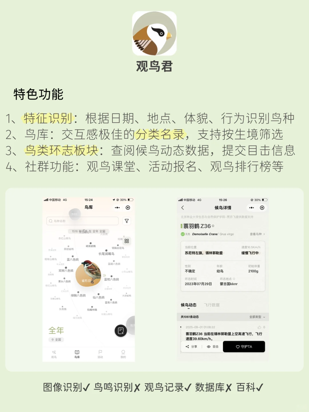 观鸟app推荐！观鸟入门必备，识别&记录