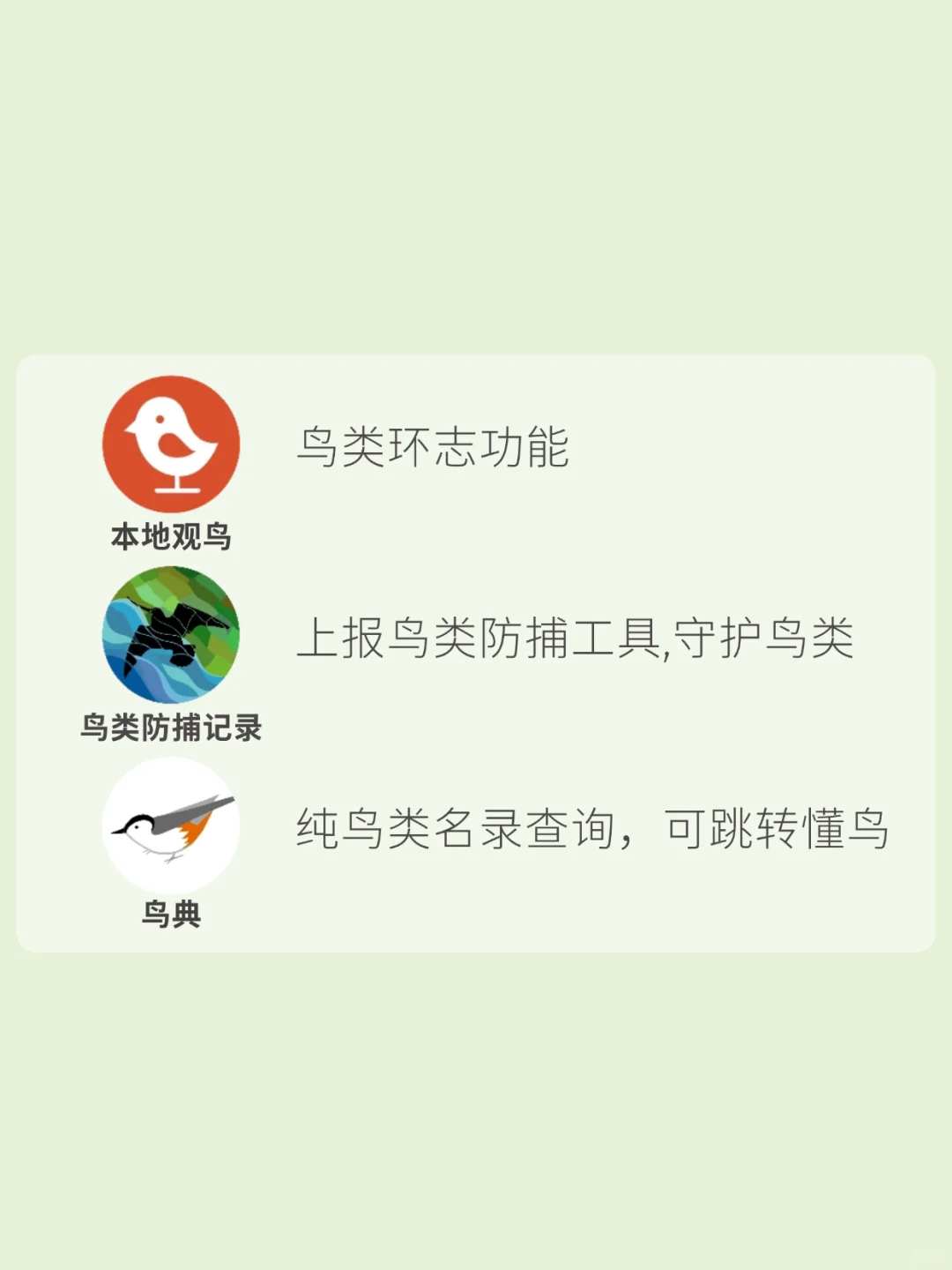 观鸟app推荐！观鸟入门必备，识别&记录