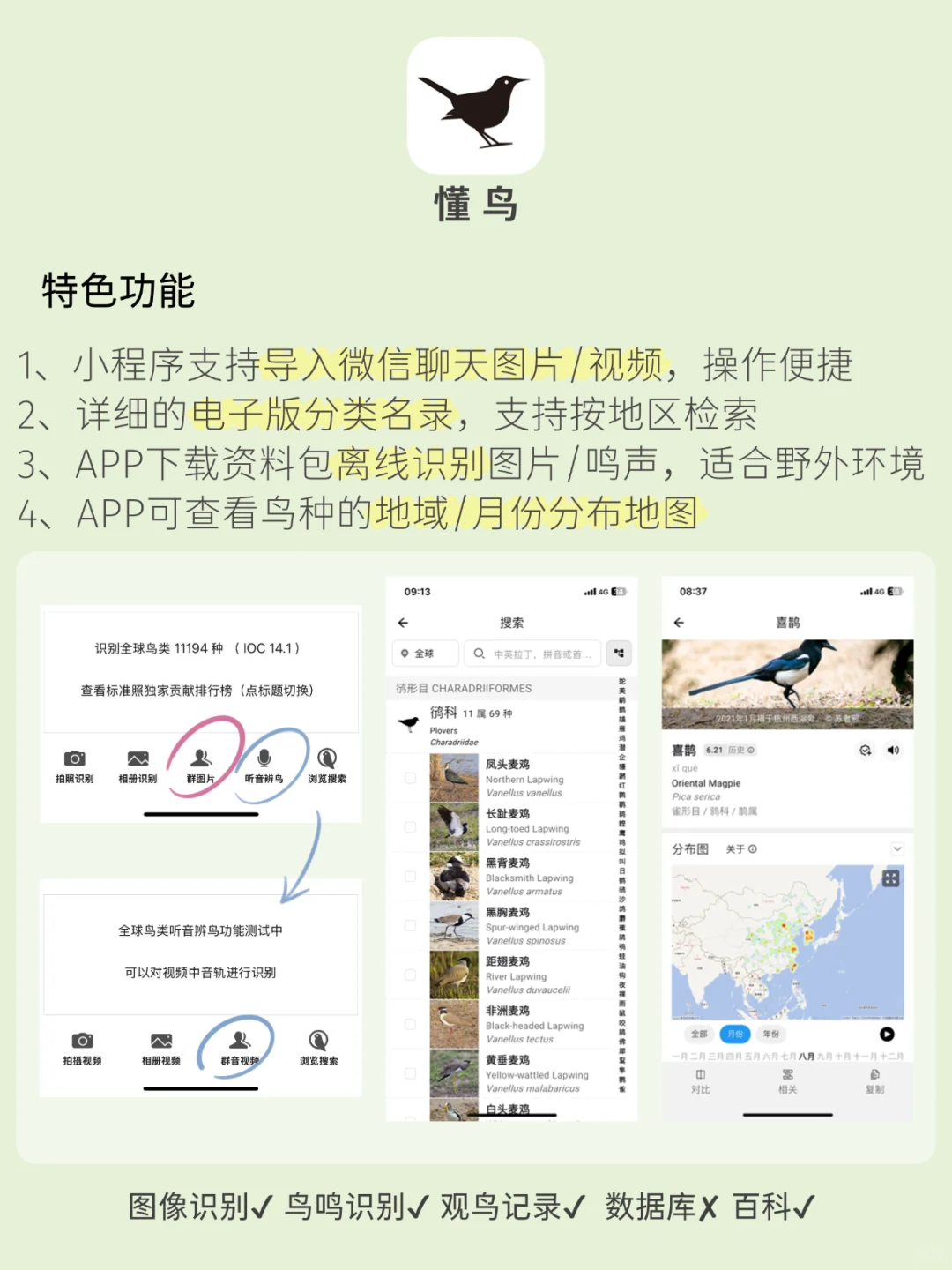 观鸟app推荐！观鸟入门必备，识别&记录