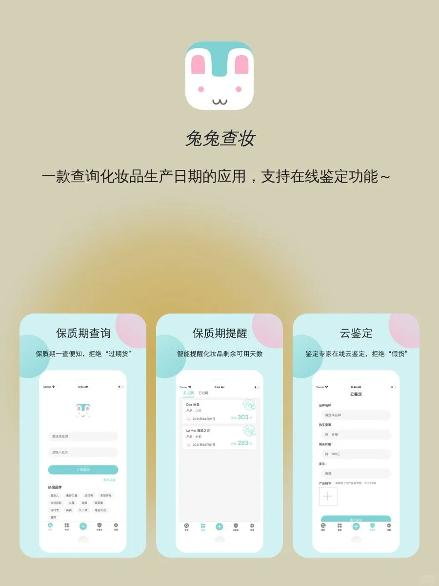 仙女最爱实用APP｜实用app合集