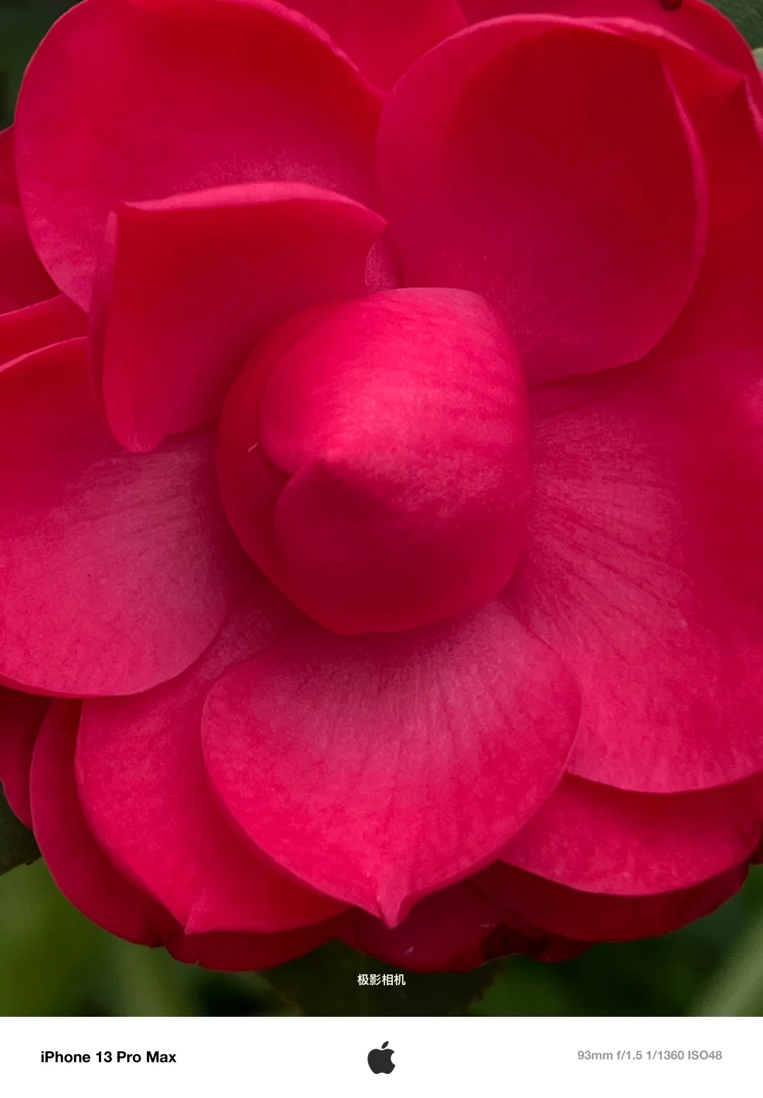 这个app也太牛🐮了吧