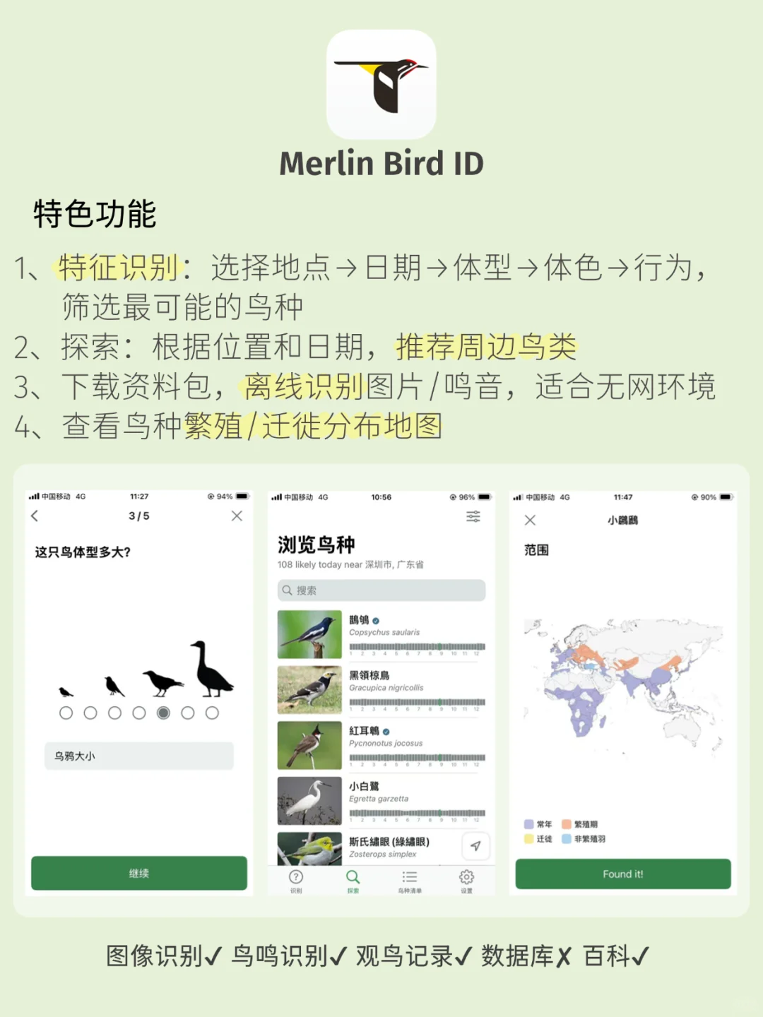 观鸟app推荐！观鸟入门必备，识别&记录