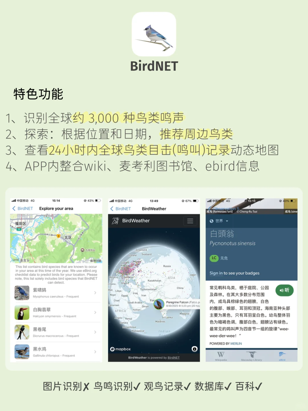 观鸟app推荐！观鸟入门必备，识别&记录