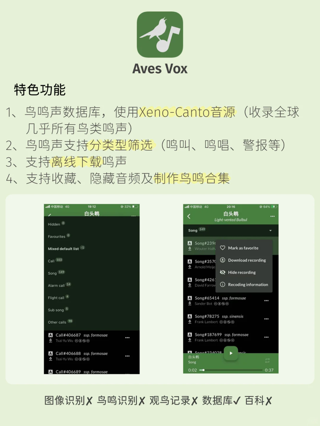 观鸟app推荐！观鸟入门必备，识别&记录