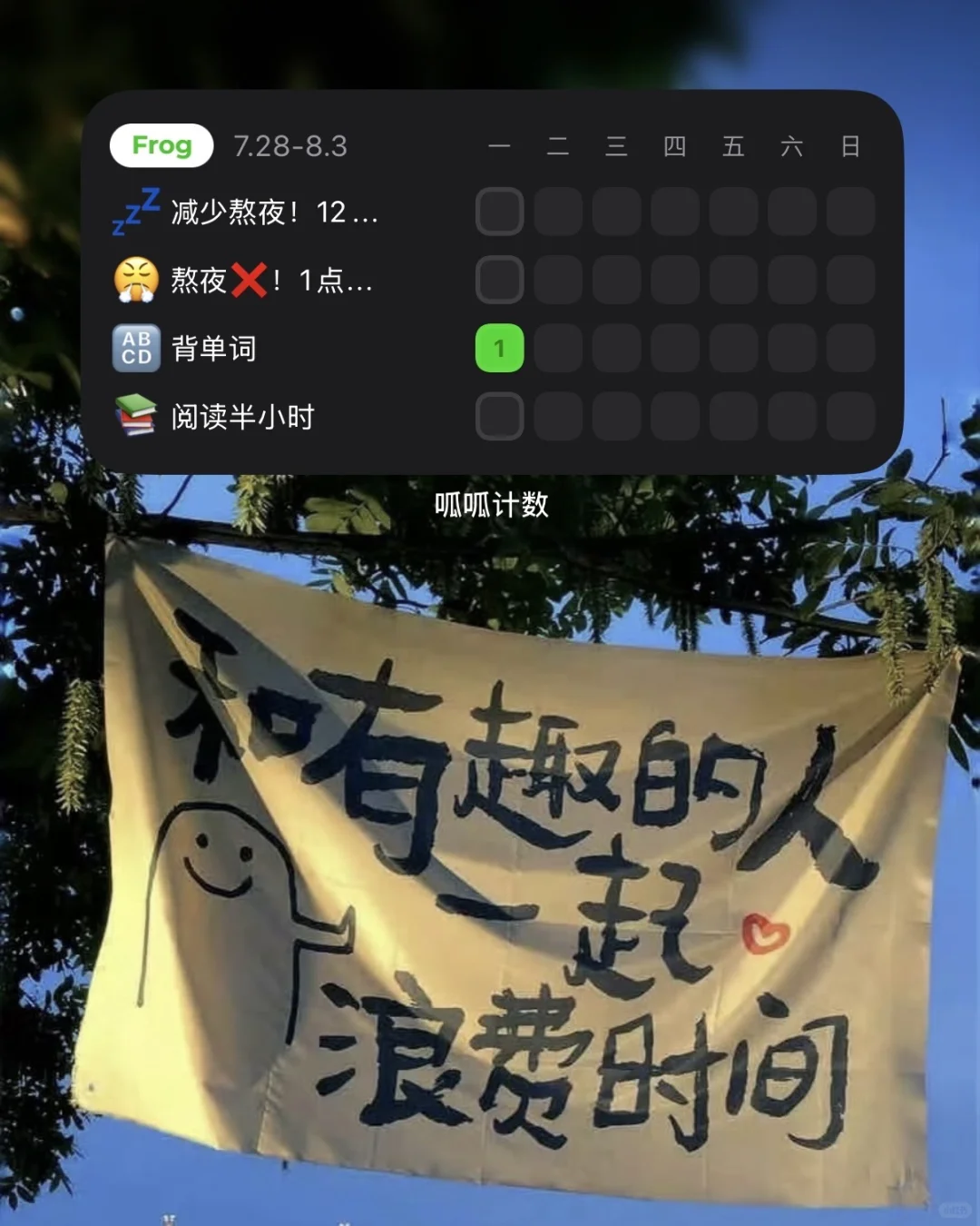 🐸🐸帮我计数的第1️⃣天