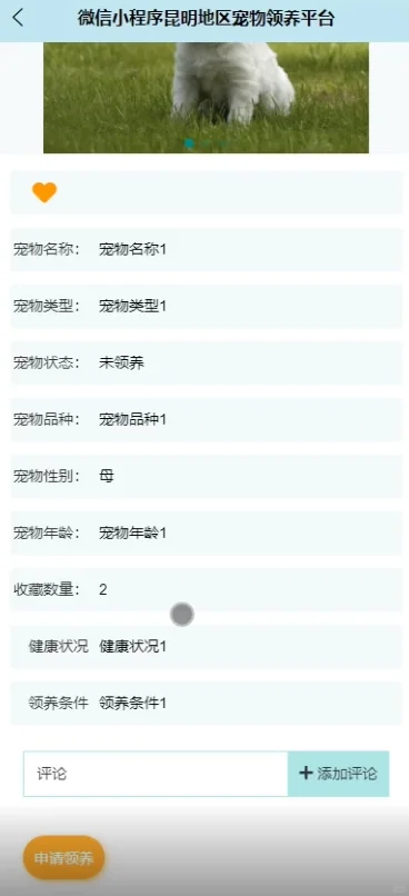 JAVA 基于微信小程序的宠物领养系统源码