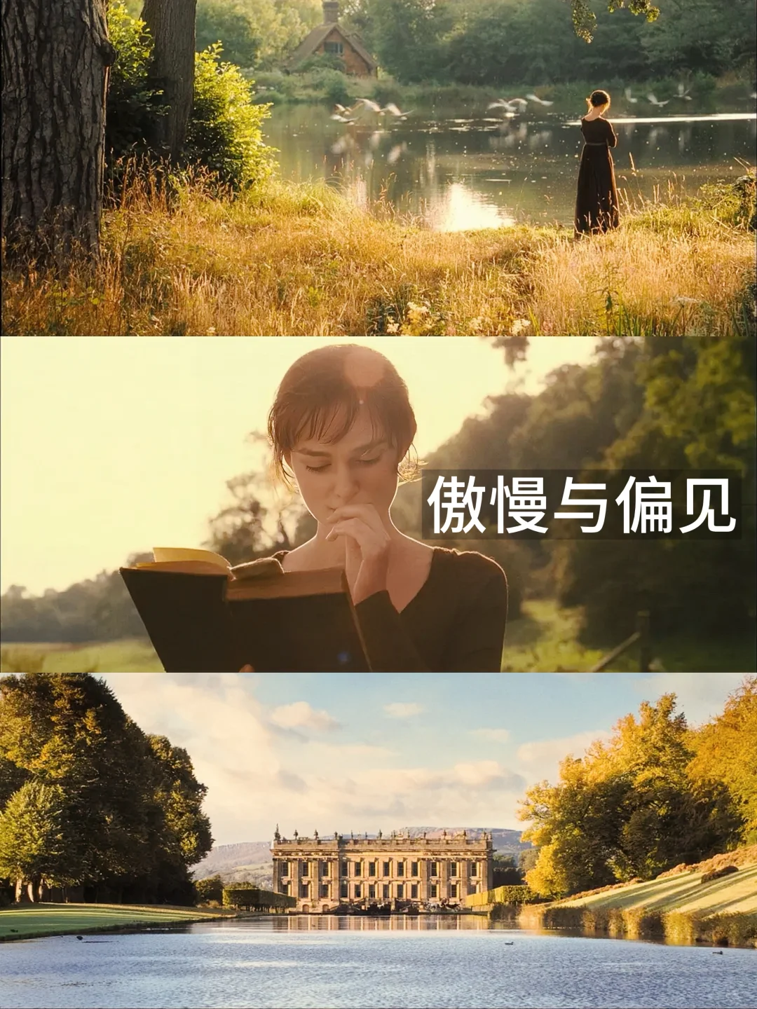 提高审美｜13部美学电影🎬第一部就是天花板