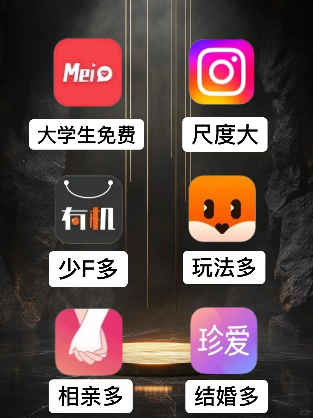 大学生勇闯社交软件100天总结！