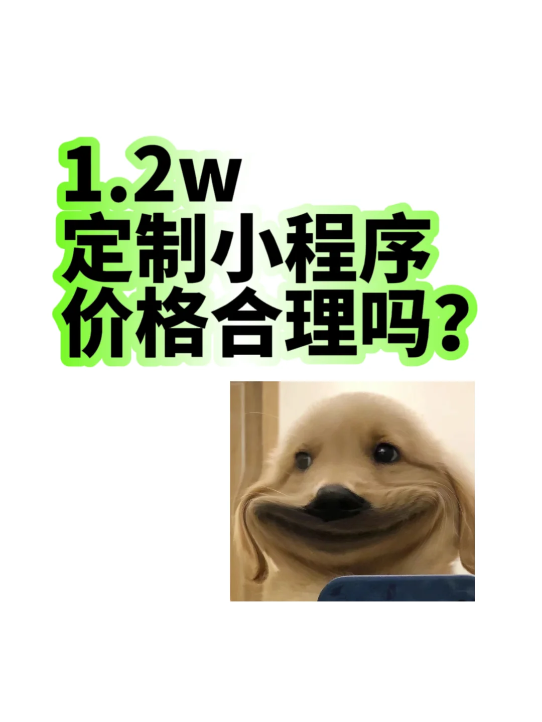1.2w定制小程序......