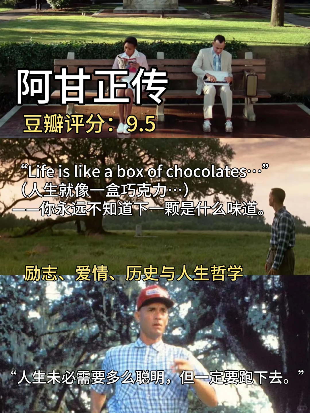 周末停止摆烂，请狂刷这16部电影🎬